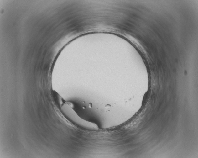 X0000064041238200602242312