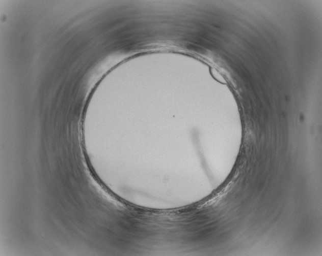 X0000064041239200602242312