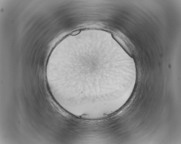 X0000064041240200602242312