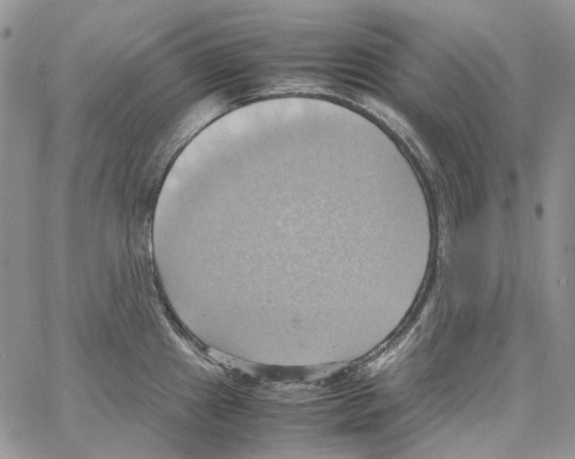 X0000064041241200602242312