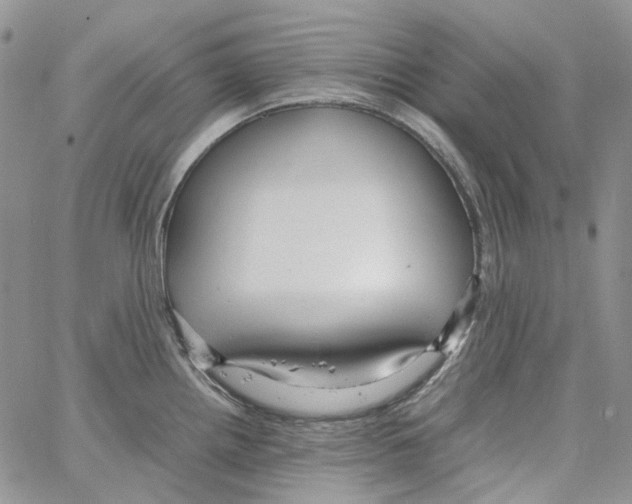 X0000064041242200602242312