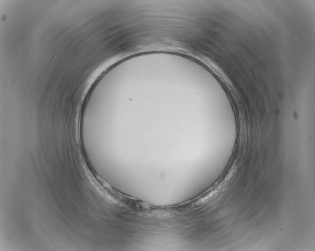 X0000064041246200602242312