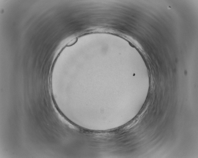 X0000064041247200602242312