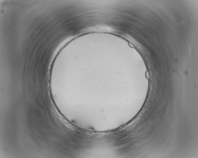 X0000064041248200602242313