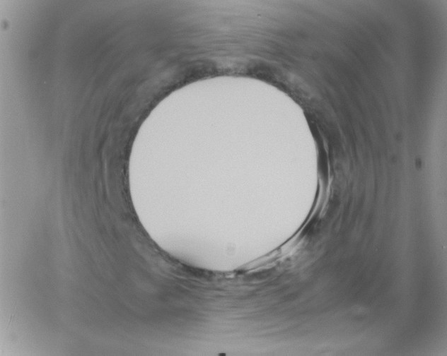 X0000064041249200602242312