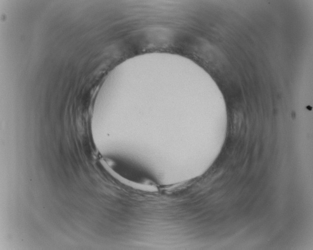 X0000064041250200602242312