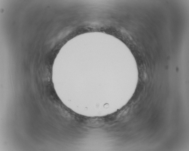 X0000064041253200602242312