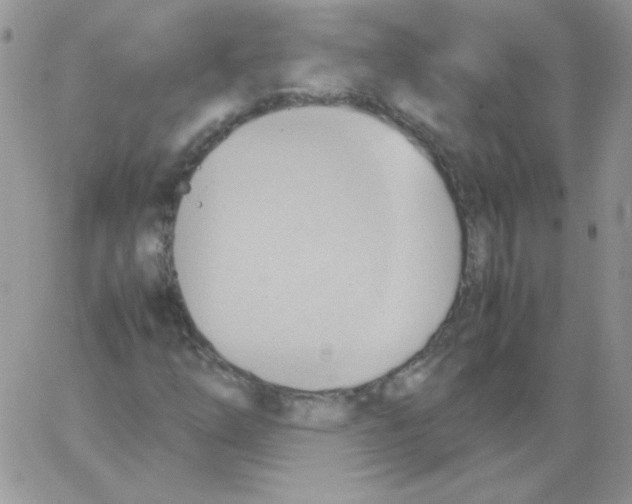 X0000064041254200602242312