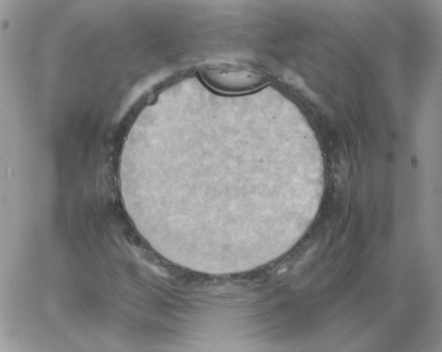 X0000064041256200602242312