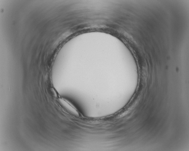 X0000064041257200602242312