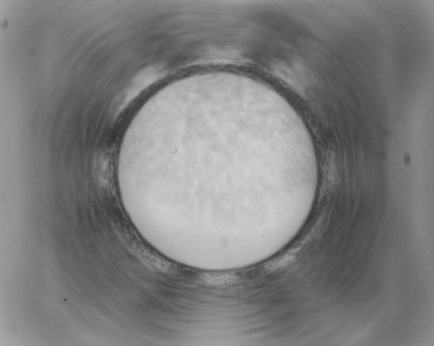 X0000064041258200602242312