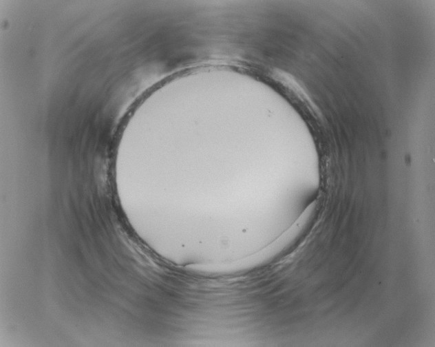 X0000064041260200602242312