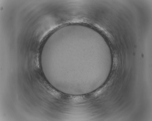 X0000064041262200602242312