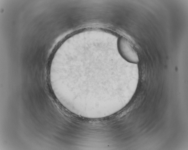 X0000064041264200602242311