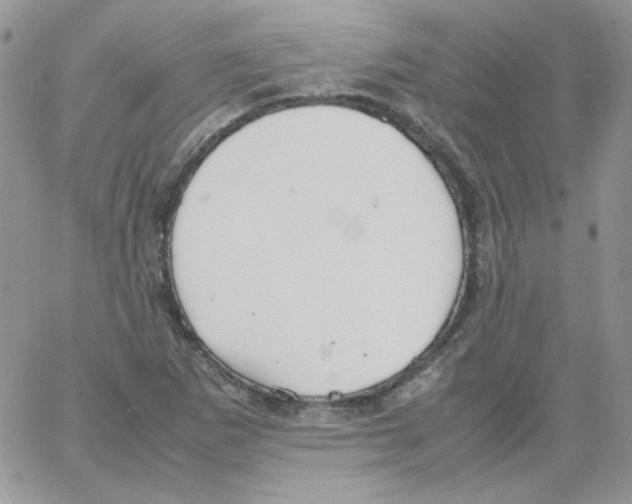 X0000064041265200602242311