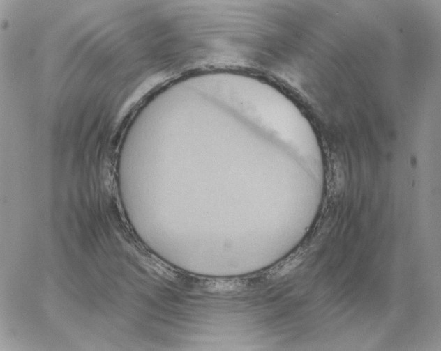 X0000064041266200602242311