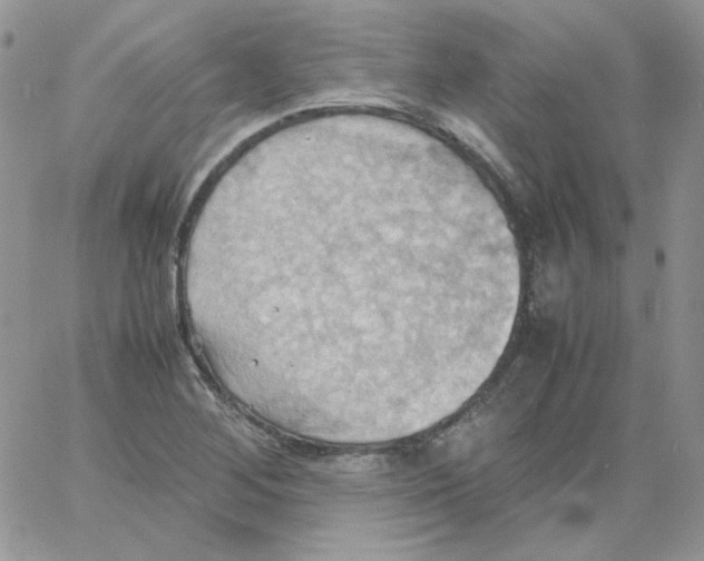 X0000064041268200602242311