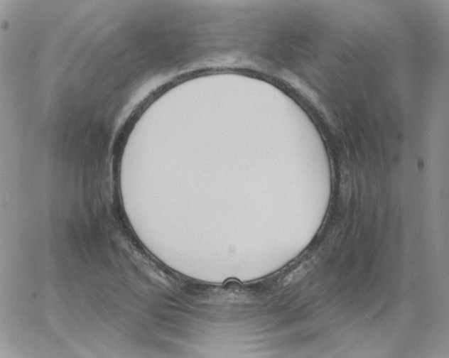 X0000064041270200602242311