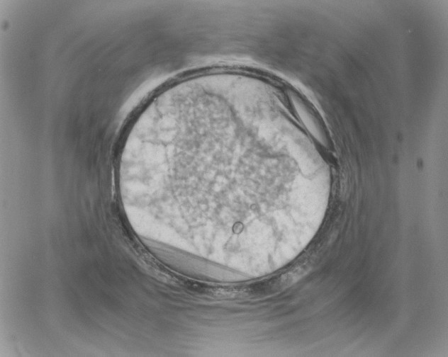 X0000064041271200602242311