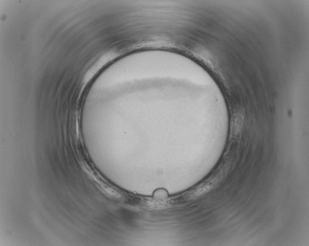 X0000064041274200602242311