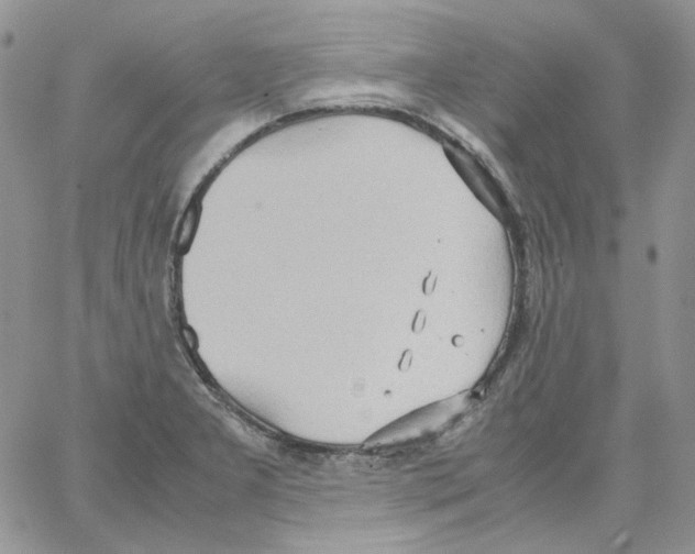 X0000064041277200602242311