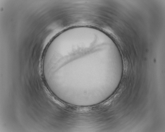 X0000064041278200602242311