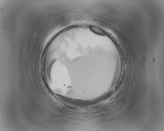 X0000064041279200602242311