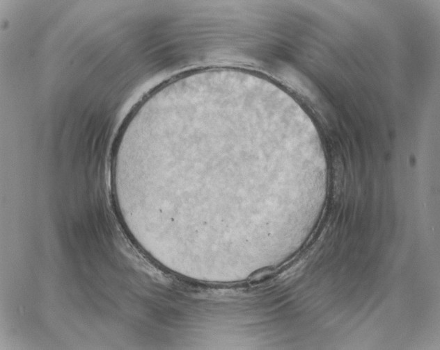 X0000064041280200602242311