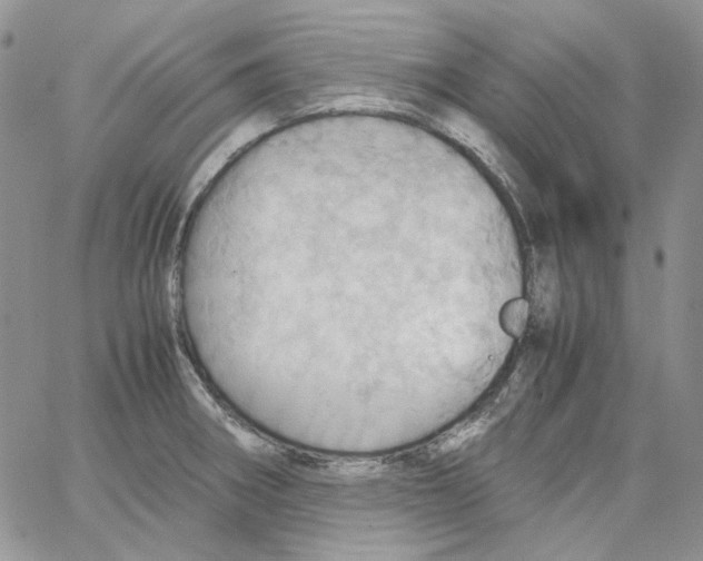 X0000064041282200602242311