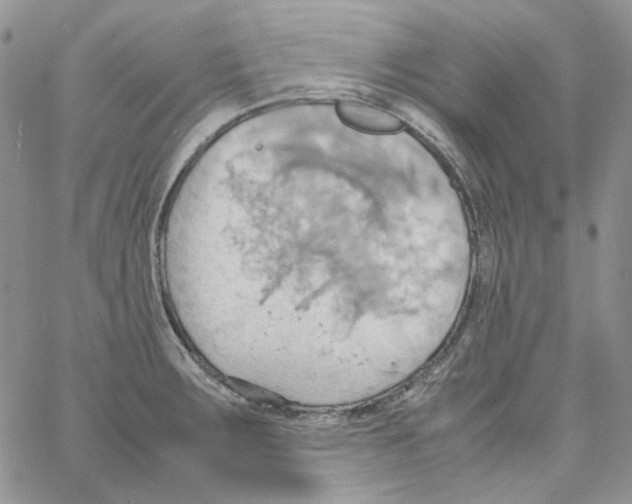 X0000064041283200602242311