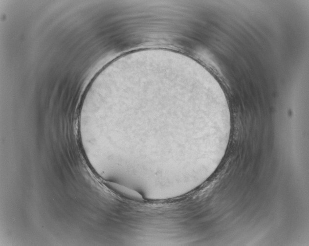 X0000064041284200602242311