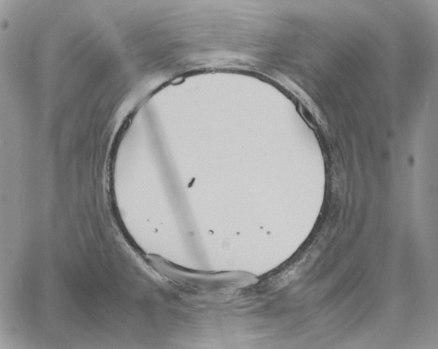 X0000064041285200602242311