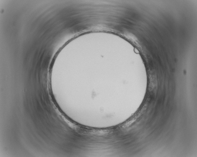 X0000064041286200602242311