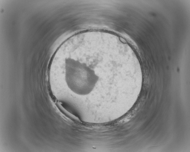 X0000064041287200602242311