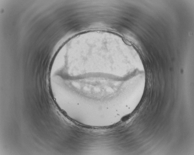 X0000064041288200602242311