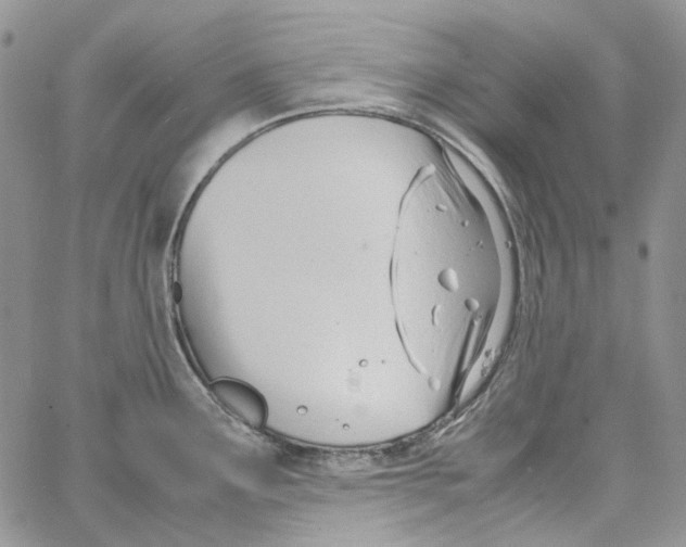 X0000064041291200602242311