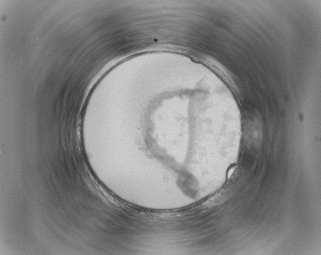 X0000064041292200602242311