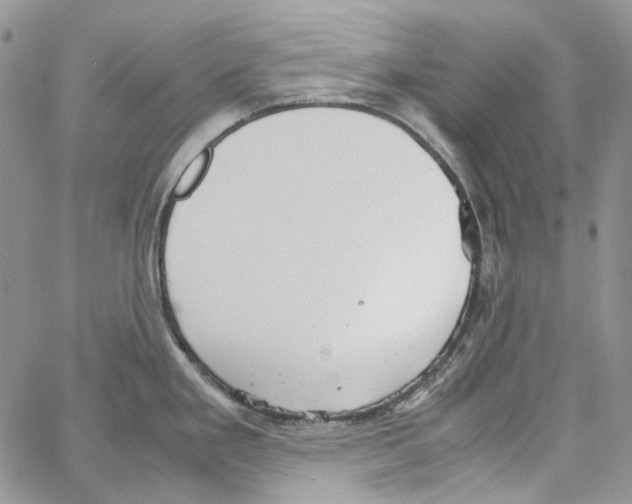 X0000064041293200602242311