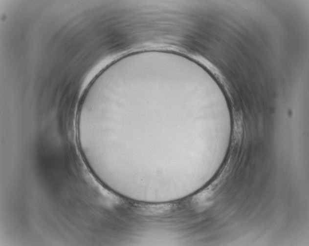 X0000064041294200602242311