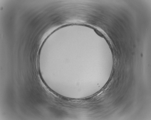 X0000064041295200602242311