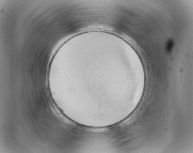 X0000064041296200602242311