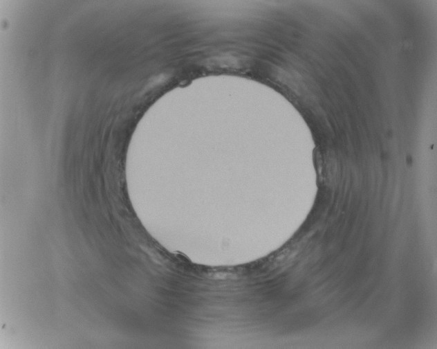 X0000064041297200602242310