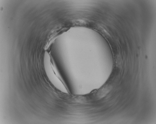 X0000064041298200602242310