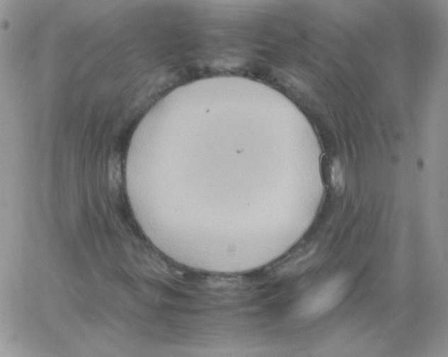 X0000064041299200602242310