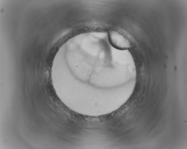 X0000064041302200602242310