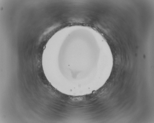 X0000064041303200602242310