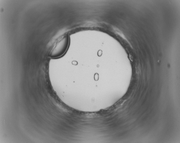 X0000064041304200602242310