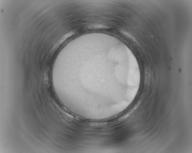 X0000064041305200602242310