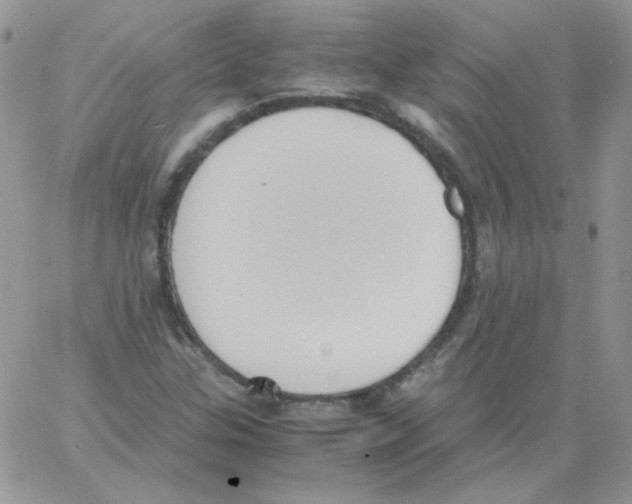 X0000064041307200602242310