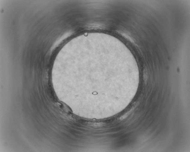 X0000064041309200602242310